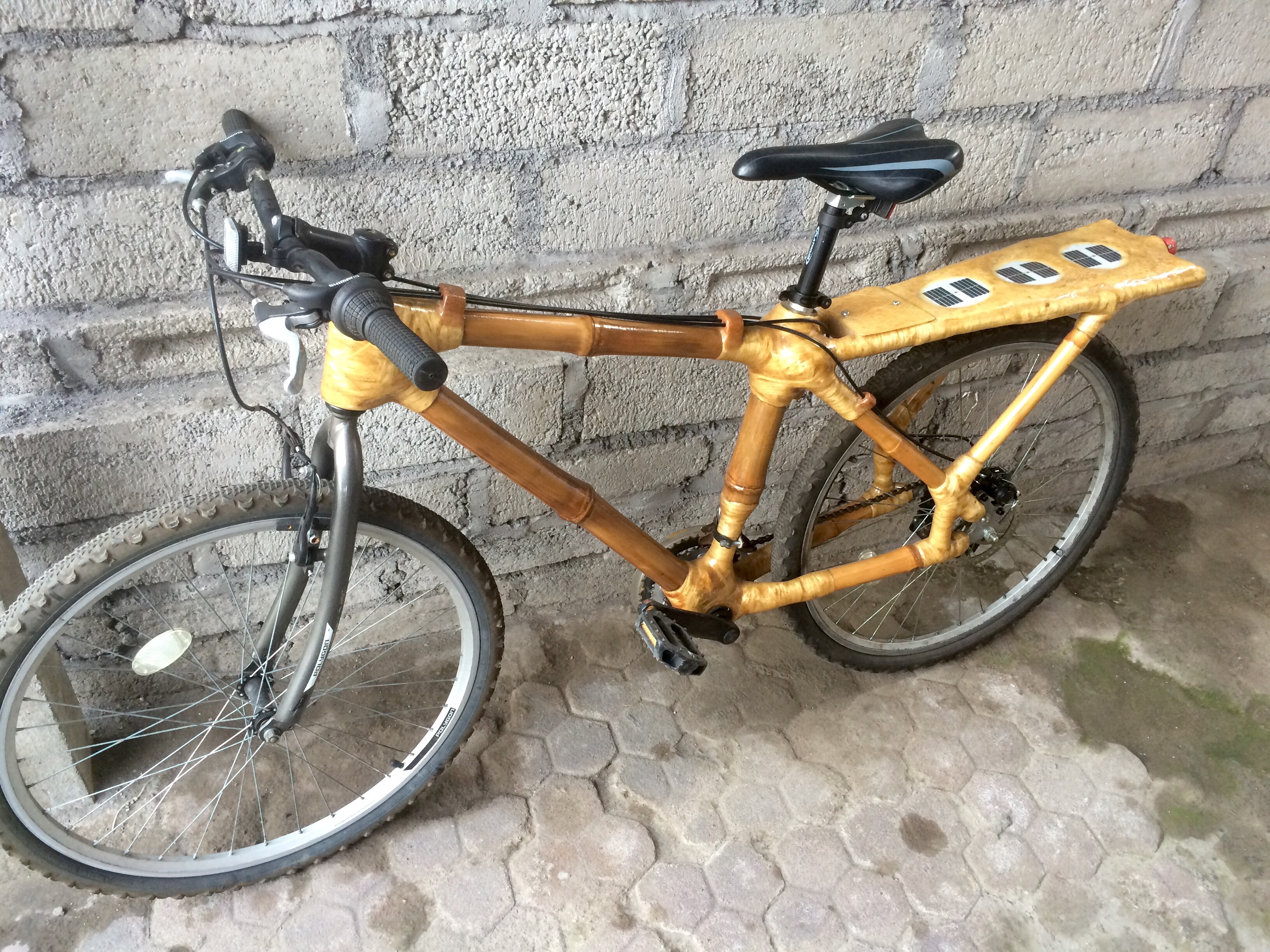 Latest Solar Bamboo Bike